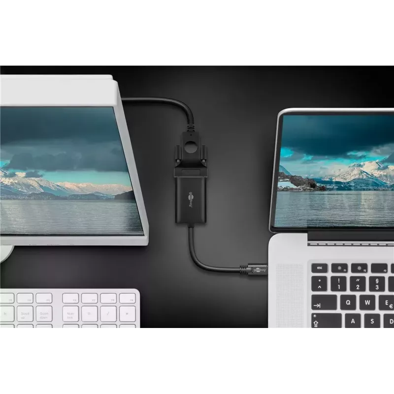 USB grafikos adapteris Goobay 51776