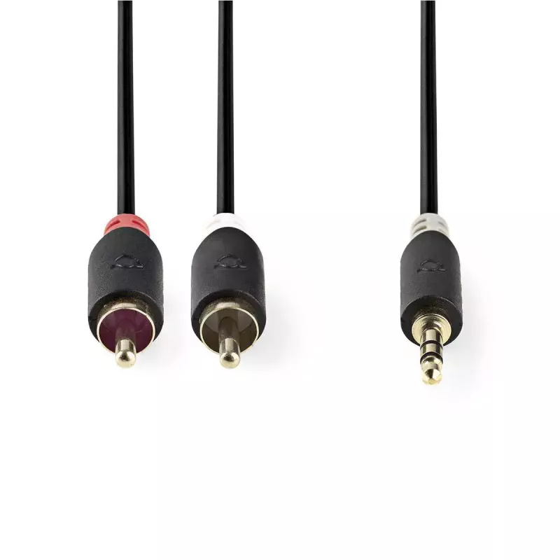 Garso kabelis Nedis CABW22200AT20 2m 3,5 mm 2 x RCA antracito