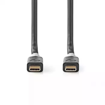 USB laidas Nedis CCBW64020AT20 USB4 Gen 2x2 2 m USB C juoda sidabrinė