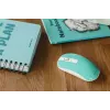 Pelė Canyon CNS-CMSW18A RF Wireless Optical