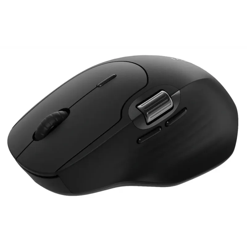 Pelė Rapoo MT560