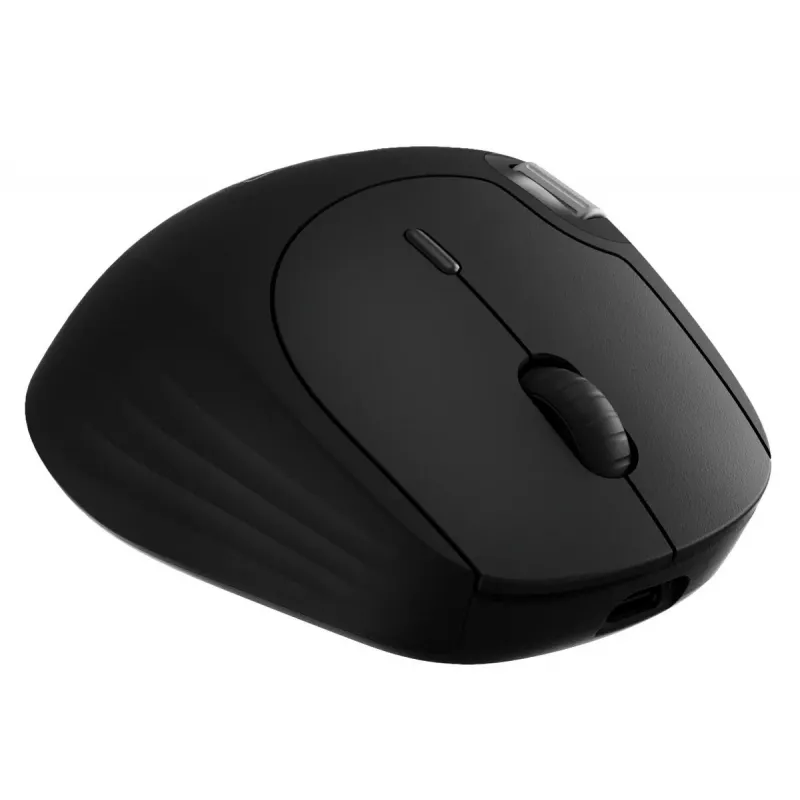 Pelė Rapoo MT560