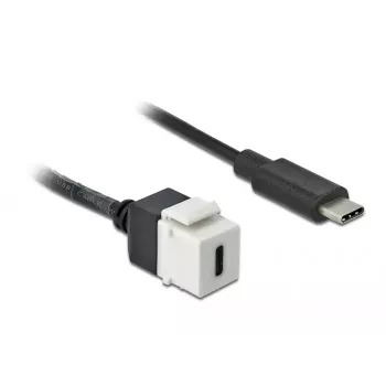 DeLOCK 86399 plokščias keystone modulis, juodas baltas, USB C