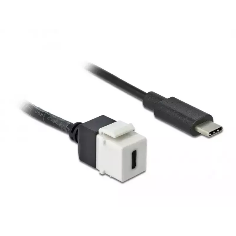 DeLOCK 86399 plokščias keystone modulis, juodas baltas, USB C