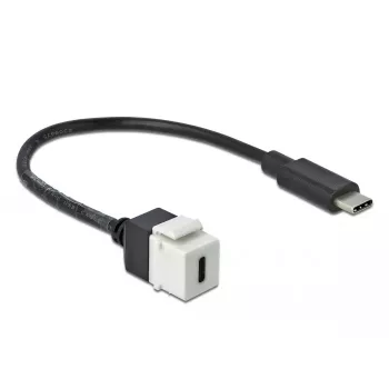 DeLOCK 86399 plokščias keystone modulis, juodas baltas, USB C