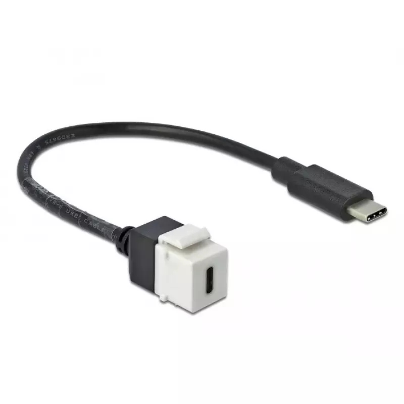 DeLOCK 86399 plokščias keystone modulis, juodas baltas, USB C