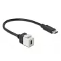 DeLOCK 86399 plokščias keystone modulis, juodas baltas, USB C