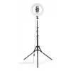 Šviestuvų žiedas Hama SpotLight Steady 120 III 160 LED 1020 lm 3000 K
