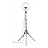 Šviestuvų žiedas Hama SpotLight Steady 120 III 160 LED 1020 lm 3000 K
