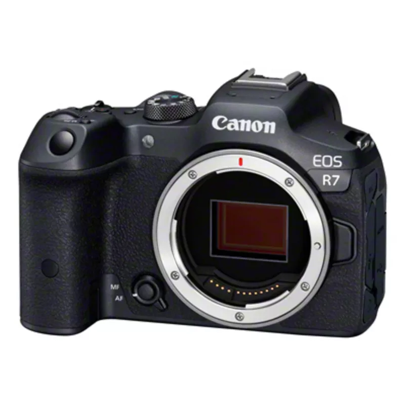 Canon EOS R7 MILC korpusas 32,5 MP CMOS 6960 x 4640 pikseliai juoda