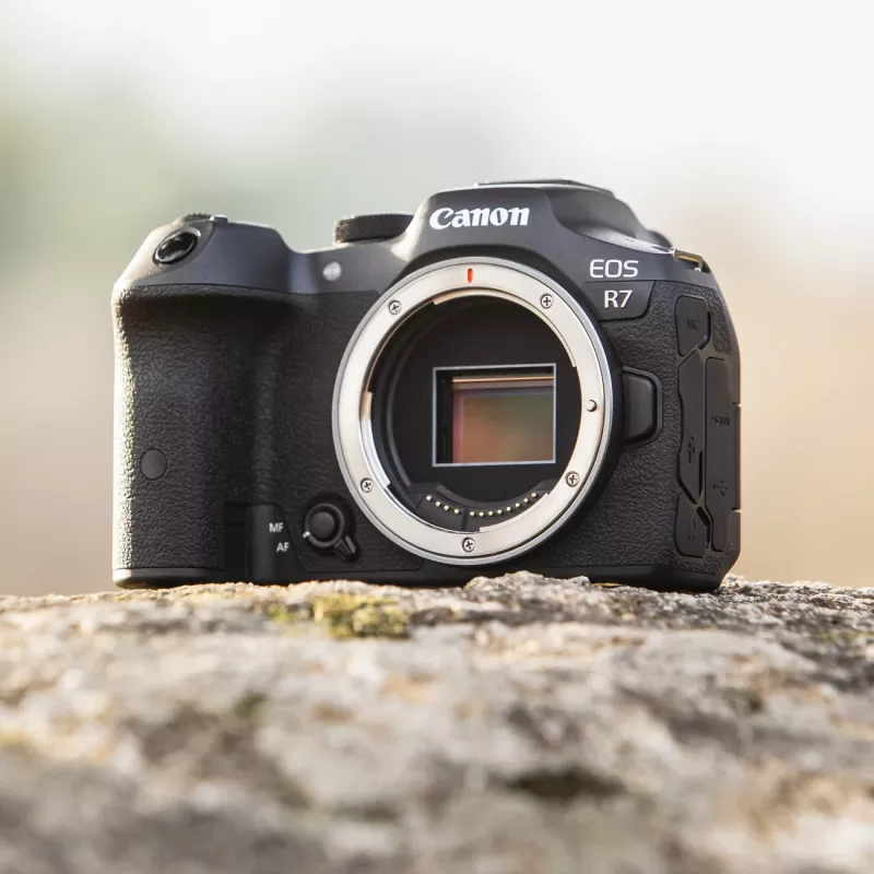 Canon EOS R7 MILC korpusas 32,5 MP CMOS 6960 x 4640 pikseliai juoda