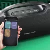 Kolona HAMA UltiMate Pro 120 W, belaidis Bluetooth, atspari vandeniui, įmontuota baterija, USB-C įkrovimas