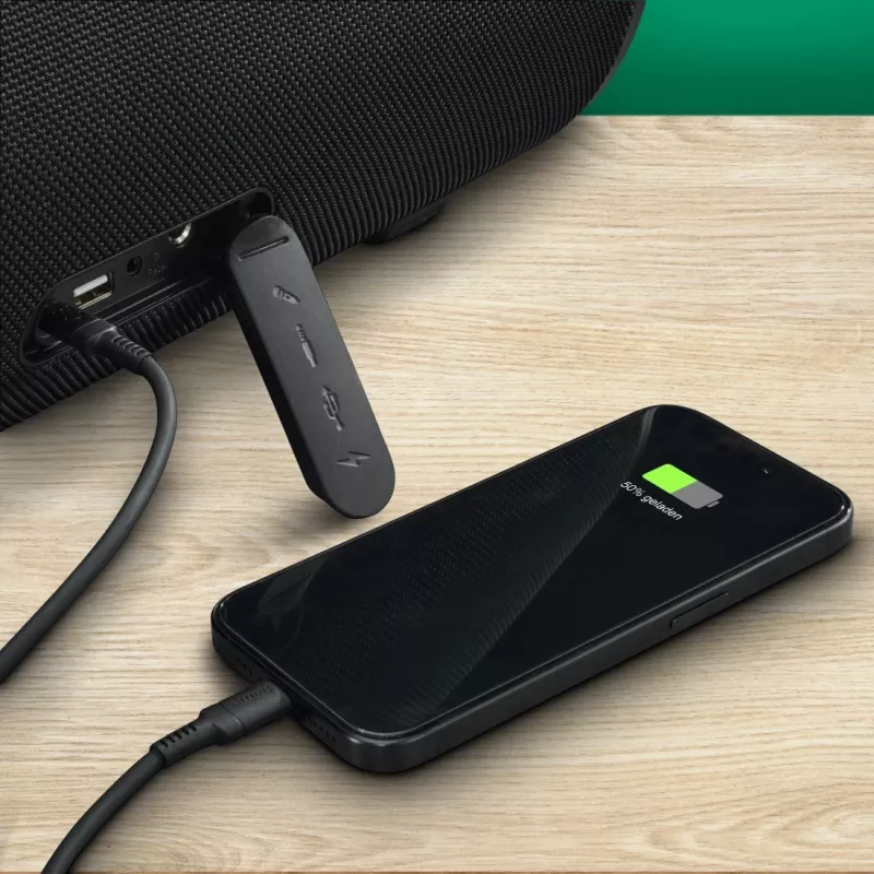 Kolona HAMA UltiMate Pro 120 W, belaidis Bluetooth, atspari vandeniui, įmontuota baterija, USB-C įkrovimas