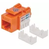 Intellinet Keystone Jack, Cat6, UTP, Punch-down, Oranžinis