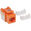 Intellinet Keystone Jack, Cat6, UTP, Punch-down, Oranžinis