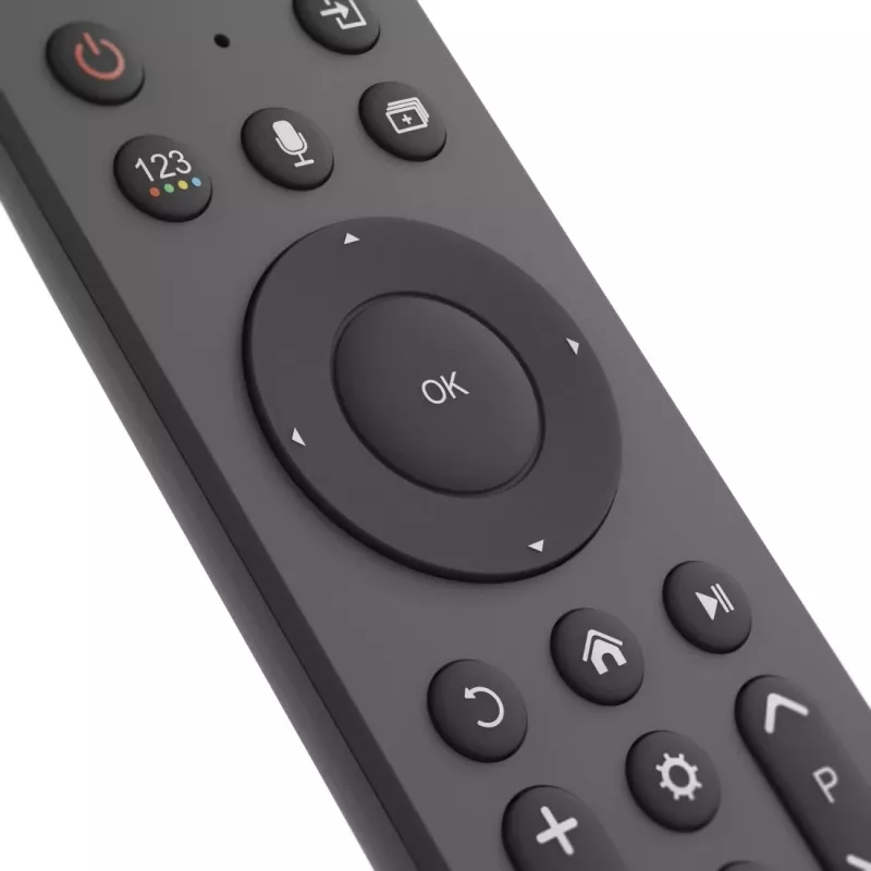 Hama 00221058 nuotolinio valdymo pultas Bluetooth TV Mygtukai