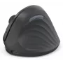 Hama EWM-600R pelė, biuro, dešiniarankiams, belaidė RF + Bluetooth, optinė, 1800 DPI
