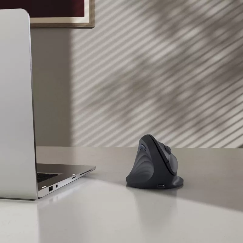 Hama EWM-600L pelė Office Kairiarankiams RF bevielis + Bluetooth Optinė 1800 DPI
