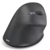 Hama EWM-500R pelė biurui Dešiniarankiams RF belaidė optinė 1800 DPI