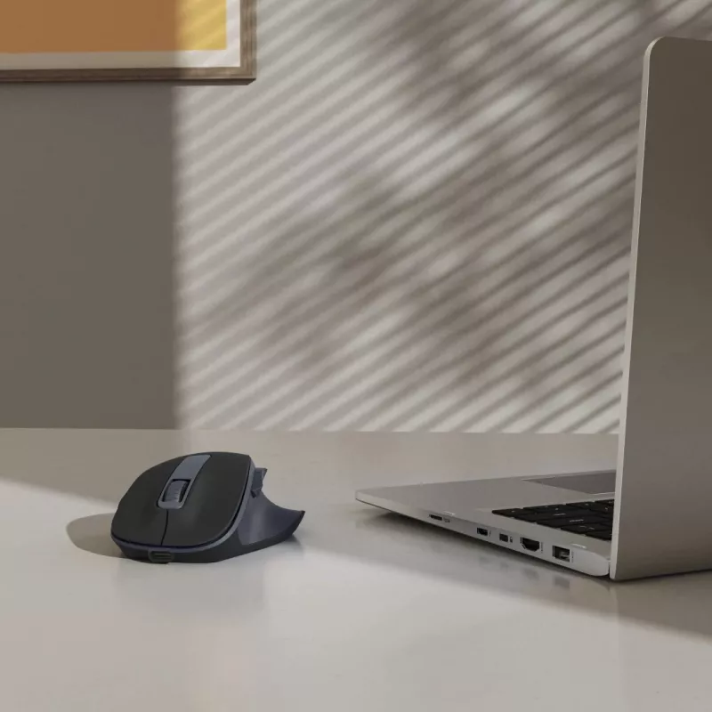 Hama WM-500 pelė Office dešinei rankai RF belaidė optinė 1600 DPI
