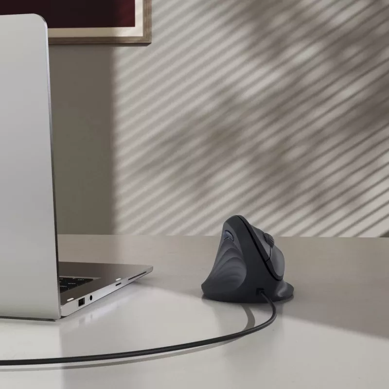 Hama ECM-500L pelė Biuro Kairiarankiams USB Type-A Optinė 1800 DPI