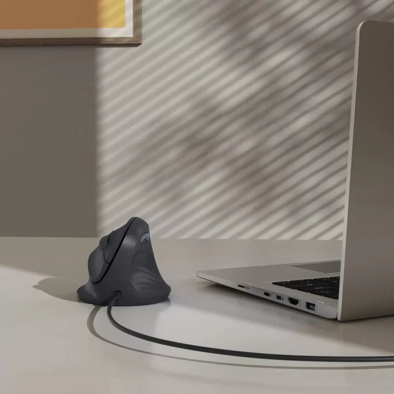 Hama ECM-500R pelė Biuro Dešiniarankiams USB Type-A Optinė 1800 DPI