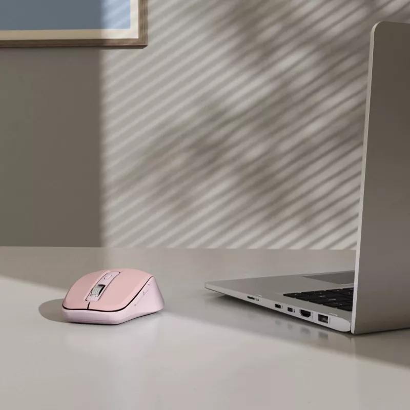 Hama WM-450 pelė Biuras Dešiniarankiams RF belaidė + Bluetooth optinė 1600 DPI