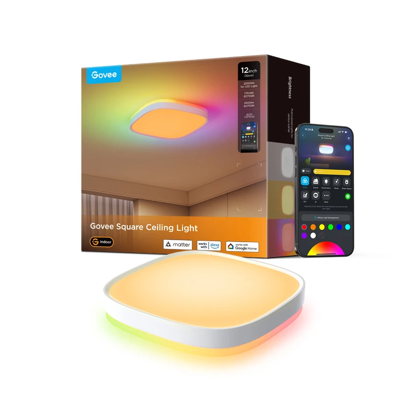 Govee 30cm RGBWW + RGBIC Smart išmanusis lubinis šviestuvas Wi-Fi/Bluetooth 28 W