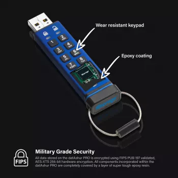 USB atmintukas iStorage 4GB USB Type-A IS-FL-DA3-256-4