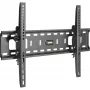 Sieninis laikiklis InLine 23117A TFT LED Plazminiams 32-70 colių