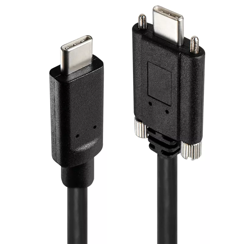 USB šakotuvas Lindy 4 prievadų USB 3.2 Gen 2 Type C metalinis šakotuvas