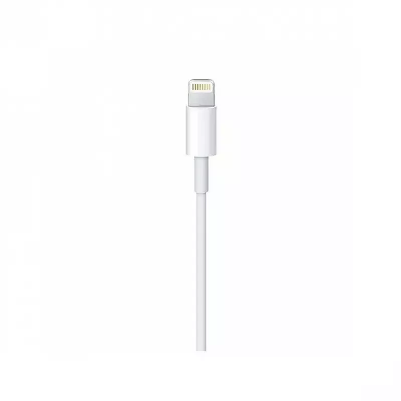 kabelis Apple Lightning to USB-C kabelis (2 m) MKQ42ZM/A