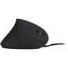pelė Inter-Tech KM-206WR USB Type-A Optical 2400 DPI