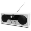 Asmeninis radijas TechniSat DIGITRADIO 451 CD IR