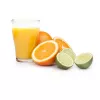 Citrus Juicer Princess 201004 Classic Juoda