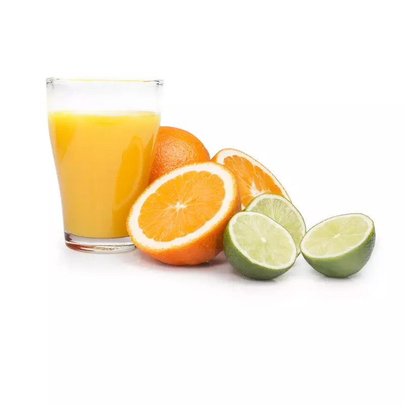 Citrus Juicer Princess 201004 Classic Juoda