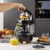 Citrusinių vaisių sulčiaspaudė Princess 201862 juoda permatoma 1L 300W