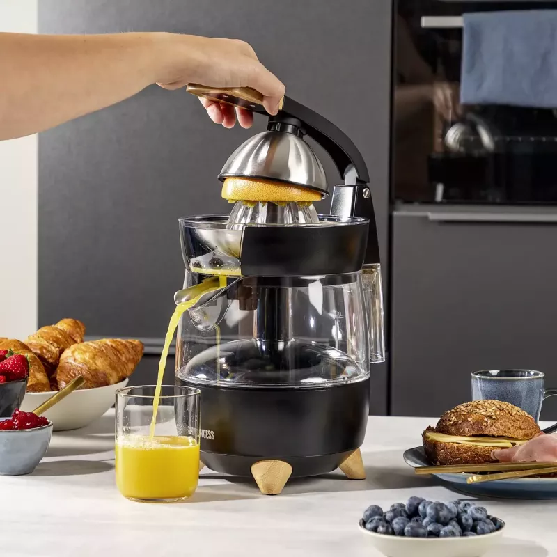 Citrusinių vaisių sulčiaspaudė Princess 201862 juoda permatoma 1L 300W