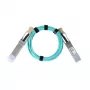 BlueOptics InfiniBand/šviesolaidinis kabelis 10 m QSFP Kištukas/Kištukas 06200-BO