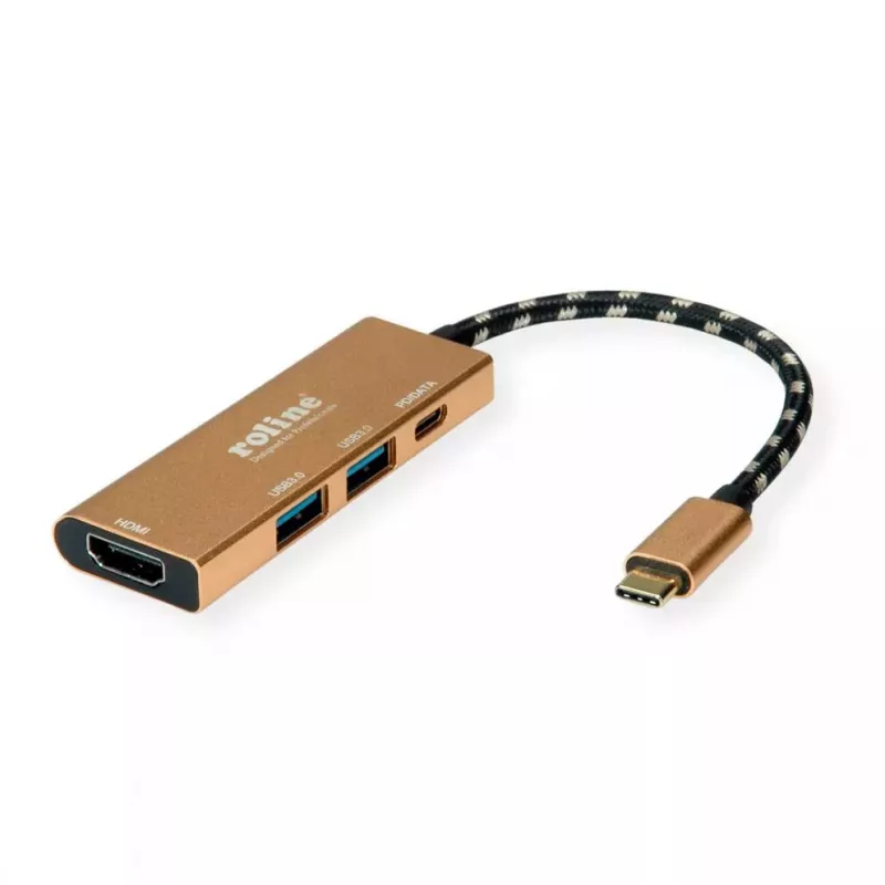 Nešiojamų kompiuterių dokas ROLINE 12.02.1119