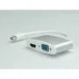 Adapteris Mini DisplayPort - HDMI/VGA ROLINE 12.03.3161