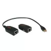 USB 2.0 ilgintuvas ROLINE 12.04.1100