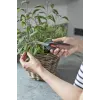 Genėjimo žirklės su aplenkiamais ašmenimis Gardena 12212-36 mėlynai pilka plastikinė rankena