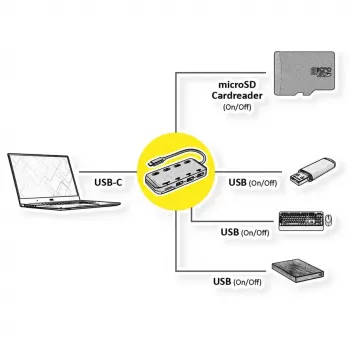 Laptop Dock ROLINE 14.02.5059 USB 3.2 Gen 1 Type-C Juoda