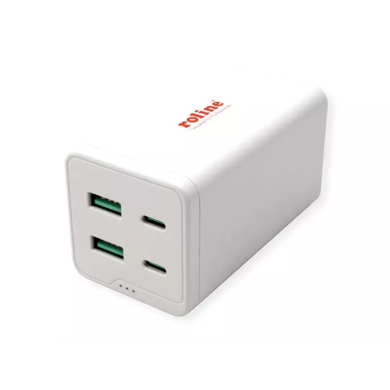 Mobiliojo įrenginio įkroviklis ROLINE 19.11.1056 Universalus kintamosios srovės greitasis įkrovimas 2 USB Type-C