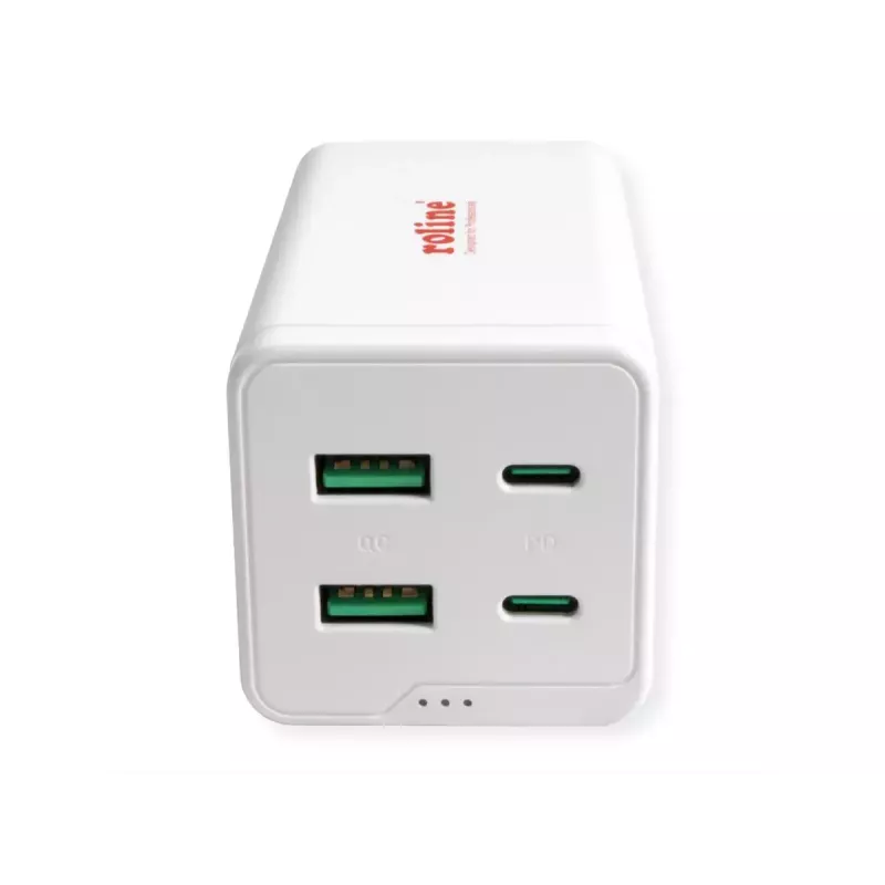 Mobiliojo įrenginio įkroviklis ROLINE 19.11.1056 Universalus kintamosios srovės greitasis įkrovimas 2 USB Type-C