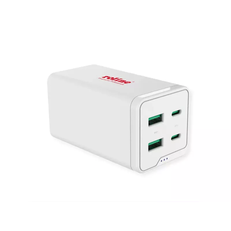 Mobiliojo įrenginio įkroviklis ROLINE 19.11.1056 Universalus kintamosios srovės greitasis įkrovimas 2 USB Type-C