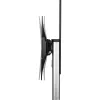 InLine reguliuojamo aukščio televizoriaus stovas, skirtas 37–70 colių (94–178 cm) LED televizoriams, maks. 50 kg