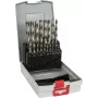 Suktinių grąžtų rinkinys Bosch HSS 2608587013