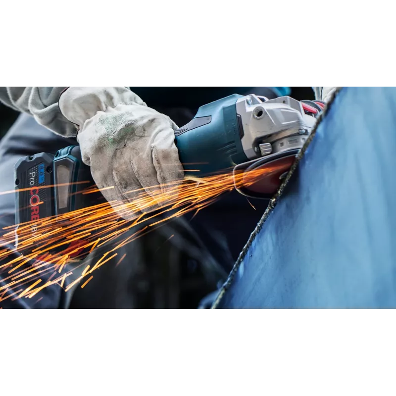 Bosch 2 608 621 794 kampinio šlifuoklio priedas Šlifavimo diskas
